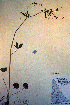  ( - CCDB-18335-E1)  @11 [ ] CreativeCommons - Attribution Non-Commercial Share-Alike (2012) CBG Photography Group Unspecified