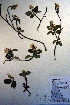  ( - CCDB-18335-H8)  @11 [ ] CreativeCommons - Attribution Non-Commercial Share-Alike (2012) CBG Photography Group Unspecified