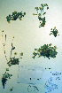  ( - CCDB-18336-F3)  @11 [ ] CreativeCommons - Attribution Non-Commercial Share-Alike (2012) CBG Photography Group Unspecified
