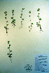  ( - CCDB-18336-G4)  @11 [ ] CreativeCommons - Attribution Non-Commercial Share-Alike (2012) CBG Photography Group Unspecified