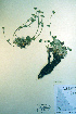  ( - CCDB-18336-F5)  @11 [ ] CreativeCommons - Attribution Non-Commercial Share-Alike (2012) CBG Photography Group Unspecified