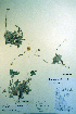  ( - CCDB-18336-E5)  @11 [ ] CreativeCommons - Attribution Non-Commercial Share-Alike (2012) CBG Photography Group Unspecified