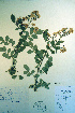  ( - CCDB-18336-E7)  @11 [ ] CreativeCommons - Attribution Non-Commercial Share-Alike (2012) CBG Photography Group Unspecified