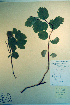  ( - CCDB-18336-F10)  @11 [ ] CreativeCommons - Attribution Non-Commercial Share-Alike (2012) CBG Photography Group Unspecified