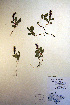  ( - CCDB-18341-D1)  @11 [ ] CreativeCommons - Attribution Non-Commercial Share-Alike (2012) CBG Photography Group Unspecified