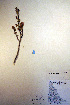  ( - CCDB-18341-F2)  @11 [ ] CreativeCommons - Attribution Non-Commercial Share-Alike (2012) CBG Photography Group Unspecified