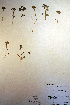  ( - CCDB-18341-C4)  @11 [ ] CreativeCommons - Attribution Non-Commercial Share-Alike (2012) CBG Photography Group Unspecified