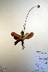  ( - CCDB-18341-F5)  @11 [ ] CreativeCommons - Attribution Non-Commercial Share-Alike (2012) CBG Photography Group Unspecified