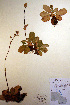  ( - CCDB-18341-E5)  @11 [ ] CreativeCommons - Attribution Non-Commercial Share-Alike (2012) CBG Photography Group Unspecified