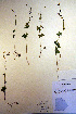 ( - CCDB-18341-H9)  @11 [ ] CreativeCommons - Attribution Non-Commercial Share-Alike (2012) CBG Photography Group Unspecified