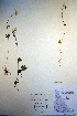  ( - CCDB-18342-E1)  @11 [ ] CreativeCommons - Attribution Non-Commercial Share-Alike (2012) CBG Photography Group Unspecified