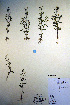  (Chaenorhinum - CCDB-18342-D3)  @11 [ ] CreativeCommons - Attribution Non-Commercial Share-Alike (2012) CBG Photography Group Unspecified