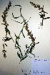  ( - CCDB-18342-B3)  @11 [ ] CreativeCommons - Attribution Non-Commercial Share-Alike (2012) CBG Photography Group Unspecified