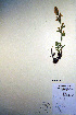  ( - CCDB-18342-H4)  @11 [ ] CreativeCommons - Attribution Non-Commercial Share-Alike (2012) CBG Photography Group Unspecified