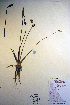  ( - CCDB-18343-A2)  @11 [ ] CreativeCommons - Attribution Non-Commercial Share-Alike (2012) CBG Photography Group Unspecified