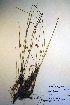  ( - CCDB-18343-E6)  @11 [ ] CreativeCommons - Attribution Non-Commercial Share-Alike (2012) CBG Photography Group Unspecified