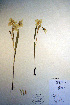  ( - CCDB-18343-E7)  @11 [ ] CreativeCommons - Attribution Non-Commercial Share-Alike (2012) CBG Photography Group Unspecified