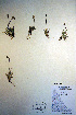 ( - CCDB-18343-D9)  @11 [ ] CreativeCommons - Attribution Non-Commercial Share-Alike (2012) CBG Photography Group Unspecified