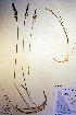  ( - CCDB-18344-E4)  @11 [ ] CreativeCommons - Attribution Non-Commercial Share-Alike (2012) CBG Photography Group Unspecified