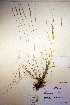  ( - CCDB-18344-G10)  @11 [ ] CreativeCommons - Attribution Non-Commercial Share-Alike (2012) CBG Photography Group Unspecified