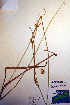  ( - CCDB-18345-E3)  @11 [ ] CreativeCommons - Attribution Non-Commercial Share-Alike (2012) CBG Photography Group Unspecified
