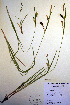  ( - CCDB-18345-D4)  @11 [ ] CreativeCommons - Attribution Non-Commercial Share-Alike (2012) CBG Photography Group Unspecified