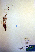  ( - CCDB-18345-C4)  @11 [ ] CreativeCommons - Attribution Non-Commercial Share-Alike (2012) CBG Photography Group Unspecified