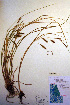  ( - CCDB-18345-D7)  @11 [ ] CreativeCommons - Attribution Non-Commercial Share-Alike (2012) CBG Photography Group Unspecified