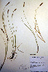  ( - CCDB-18345-C7)  @11 [ ] CreativeCommons - Attribution Non-Commercial Share-Alike (2012) CBG Photography Group Unspecified