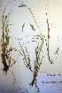  ( - CCDB-18345-D8)  @11 [ ] CreativeCommons - Attribution Non-Commercial Share-Alike (2012) CBG Photography Group Unspecified