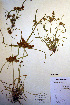  ( - CCDB-18345-A9)  @11 [ ] CreativeCommons - Attribution Non-Commercial Share-Alike (2012) CBG Photography Group Unspecified