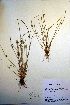  ( - CCDB-18345-F12)  @11 [ ] CreativeCommons - Attribution Non-Commercial Share-Alike (2012) CBG Photography Group Unspecified