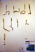  ( - CCDB-18346-G2)  @11 [ ] CreativeCommons - Attribution Non-Commercial Share-Alike (2012) CBG Photography Group Unspecified