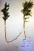  ( - CCDB-18346-E2)  @11 [ ] CreativeCommons - Attribution Non-Commercial Share-Alike (2012) CBG Photography Group Unspecified