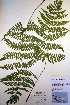 ( - CCDB-18347-C4)  @11 [ ] CreativeCommons - Attribution Non-Commercial Share-Alike (2012) CBG Photography Group Unspecified