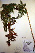  ( - CCDB-18347-B4)  @11 [ ] CreativeCommons - Attribution Non-Commercial Share-Alike (2012) CBG Photography Group Unspecified
