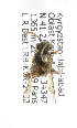 (Nomada KGZ-01 - B03764B03-KGZ)  @12 [ ] CreativeCommons - Attribution Non-Commercial Share-Alike (2010) Unspecified York University