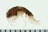  ( - BCAMP0003)  @14 [ ] CreativeCommons - Attribution (2008) Unspecified Centre for Biodiversity Genomics