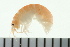  ( - BCAMP0041)  @11 [ ] CreativeCommons - Attribution (2008) Unspecified Centre for Biodiversity Genomics
