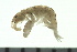  ( - BCAMP0076)  @11 [ ] CreativeCommons - Attribution (2008) Unspecified Centre for Biodiversity Genomics