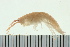  ( - BCAMP0101)  @13 [ ] CreativeCommons - Attribution (2008) Unspecified Centre for Biodiversity Genomics