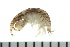  ( - BCAMP0113)  @11 [ ] CreativeCommons - Attribution (2008) Unspecified Centre for Biodiversity Genomics
