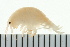  ( - BCAMP0152)  @13 [ ] CreativeCommons - Attribution (2008) Unspecified Centre for Biodiversity Genomics