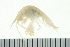  ( - BCAMP0161)  @13 [ ] CreativeCommons - Attribution (2008) Unspecified Centre for Biodiversity Genomics