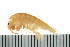 ( - BCAMP0162)  @14 [ ] CreativeCommons - Attribution (2008) Unspecified Centre for Biodiversity Genomics