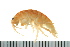  ( - BCAMP0163)  @14 [ ] CreativeCommons - Attribution (2008) Unspecified Centre for Biodiversity Genomics