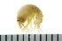  ( - BCAMP0175)  @13 [ ] CreativeCommons - Attribution (2008) Unspecified Centre for Biodiversity Genomics