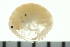  ( - BCAMP0179)  @12 [ ] CreativeCommons - Attribution (2008) Unspecified Centre for Biodiversity Genomics