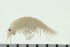 ( - BCAMP0257)  @13 [ ] CreativeCommons - Attribution (2008) Unspecified Centre for Biodiversity Genomics