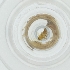  ( - CARM_033_D4)  @11 [ ] by  Genome Research Ltd as Wellcome Sanger Institute Genome Research Limited operating as Wellcome Sanger Institute